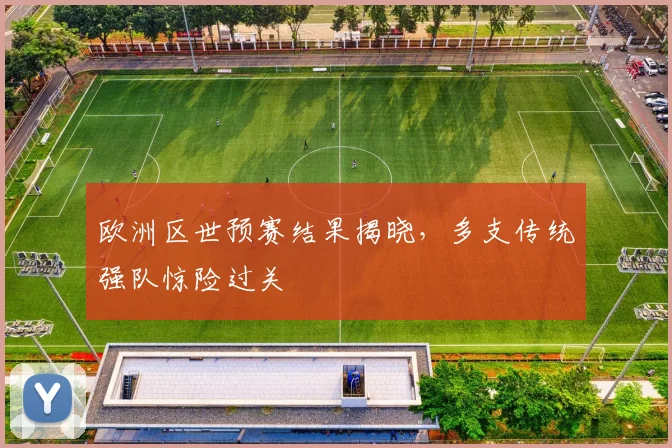 欧洲区世预赛结果揭晓,多支传统强队惊险过关