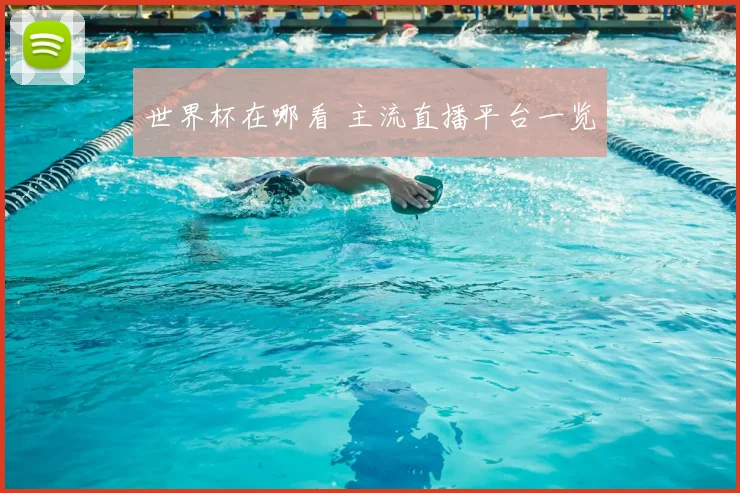 世界杯在哪看 主流直播平台一览
